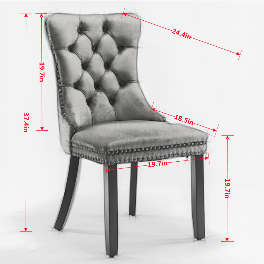 Nikki Collection Modern Velvet Upholstered Dining Chair Set (2)