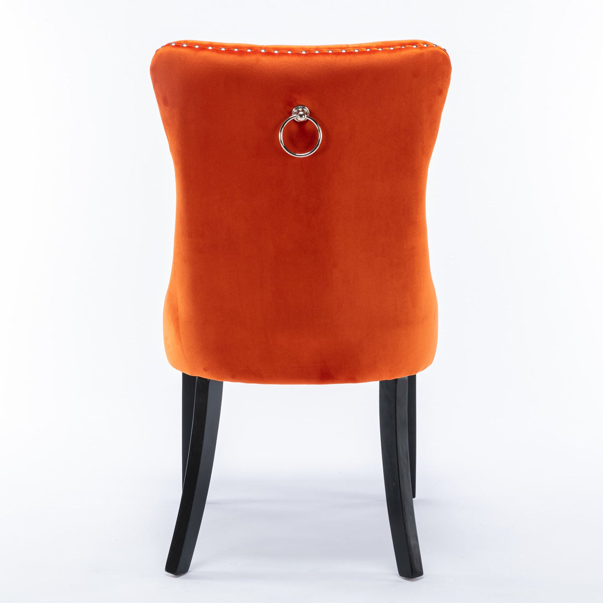Nikki Collection Modern Velvet Upholstered Dining Chair Set (2)