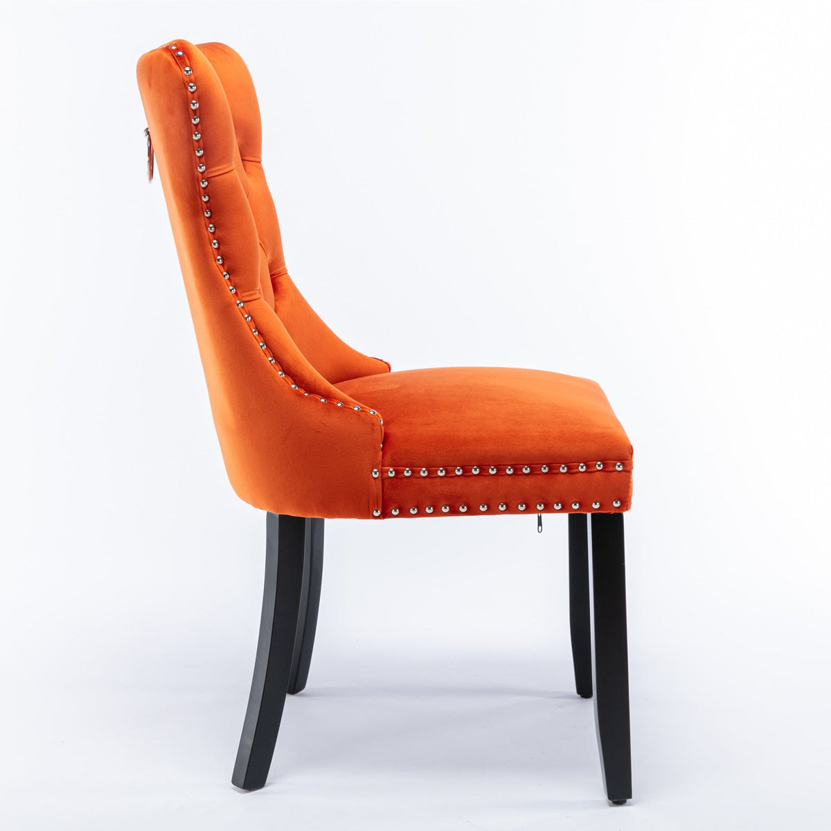 Nikki Collection Modern Velvet Upholstered Dining Chair Set (2)