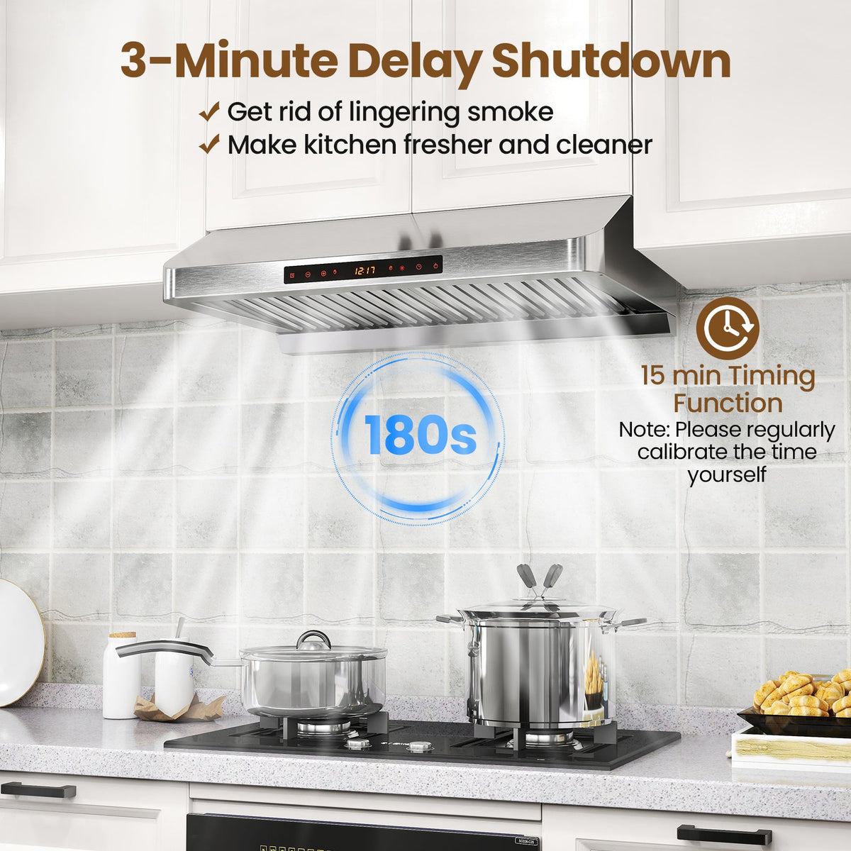 30 Inch Under Cabinet Range Hood with Oil Collector 900 CFM Stainless
