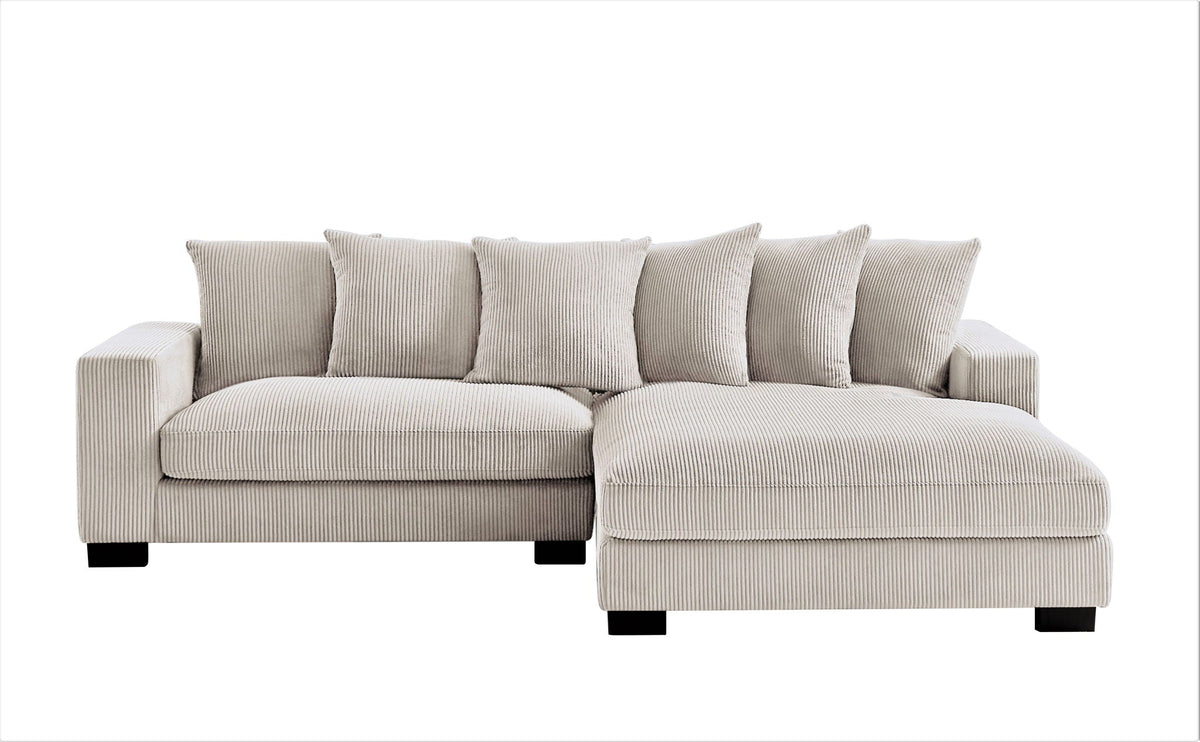 Oversized 2 Piece Sectional Couches, L Shaped Sofa With Chaise