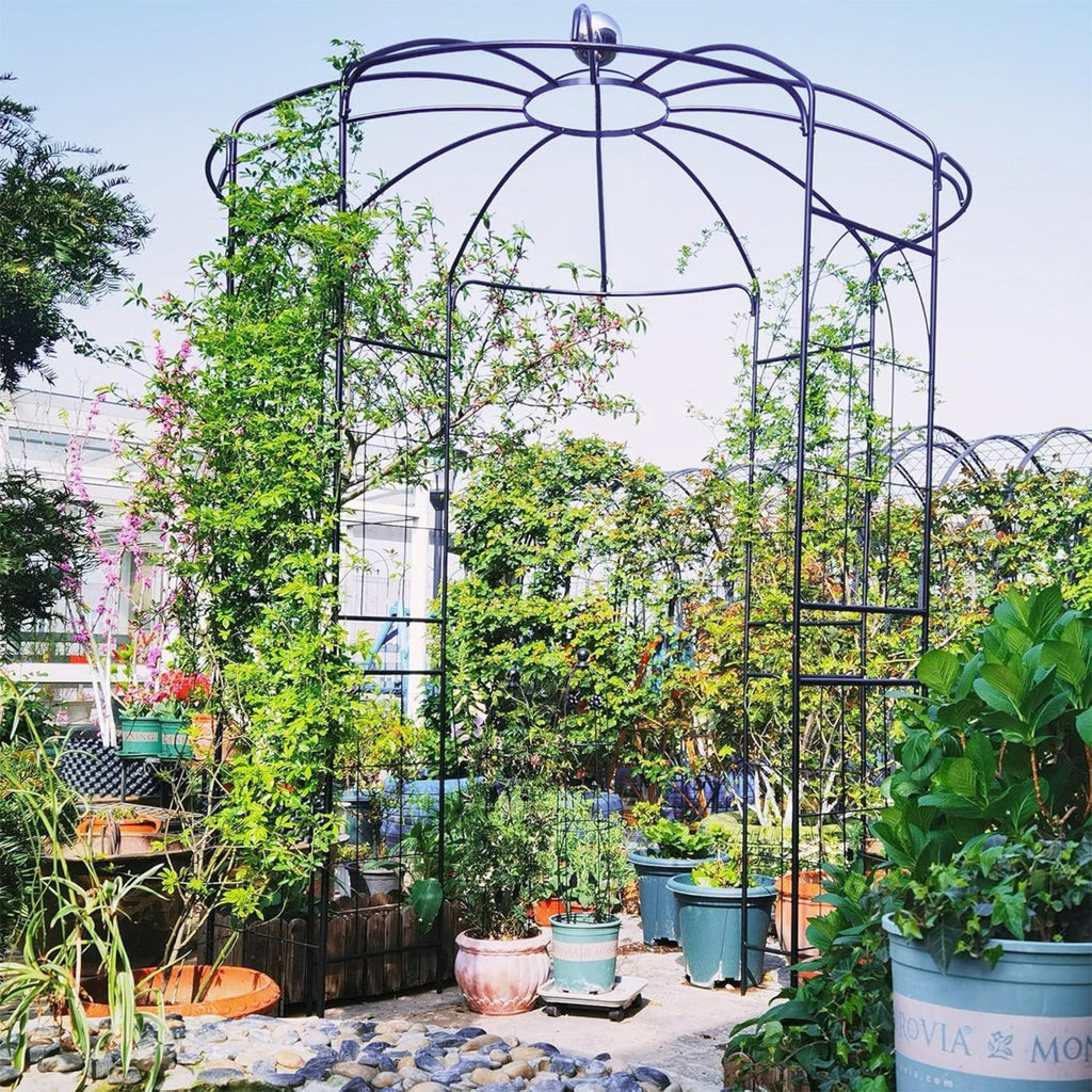 Birdcage Shape Gazebo for Climbing Plants