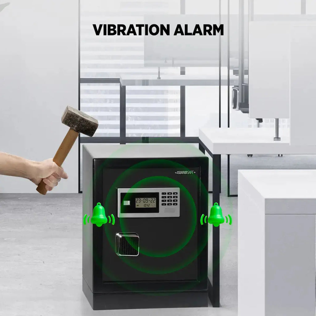 Datasavior Spacious Home Office Safe