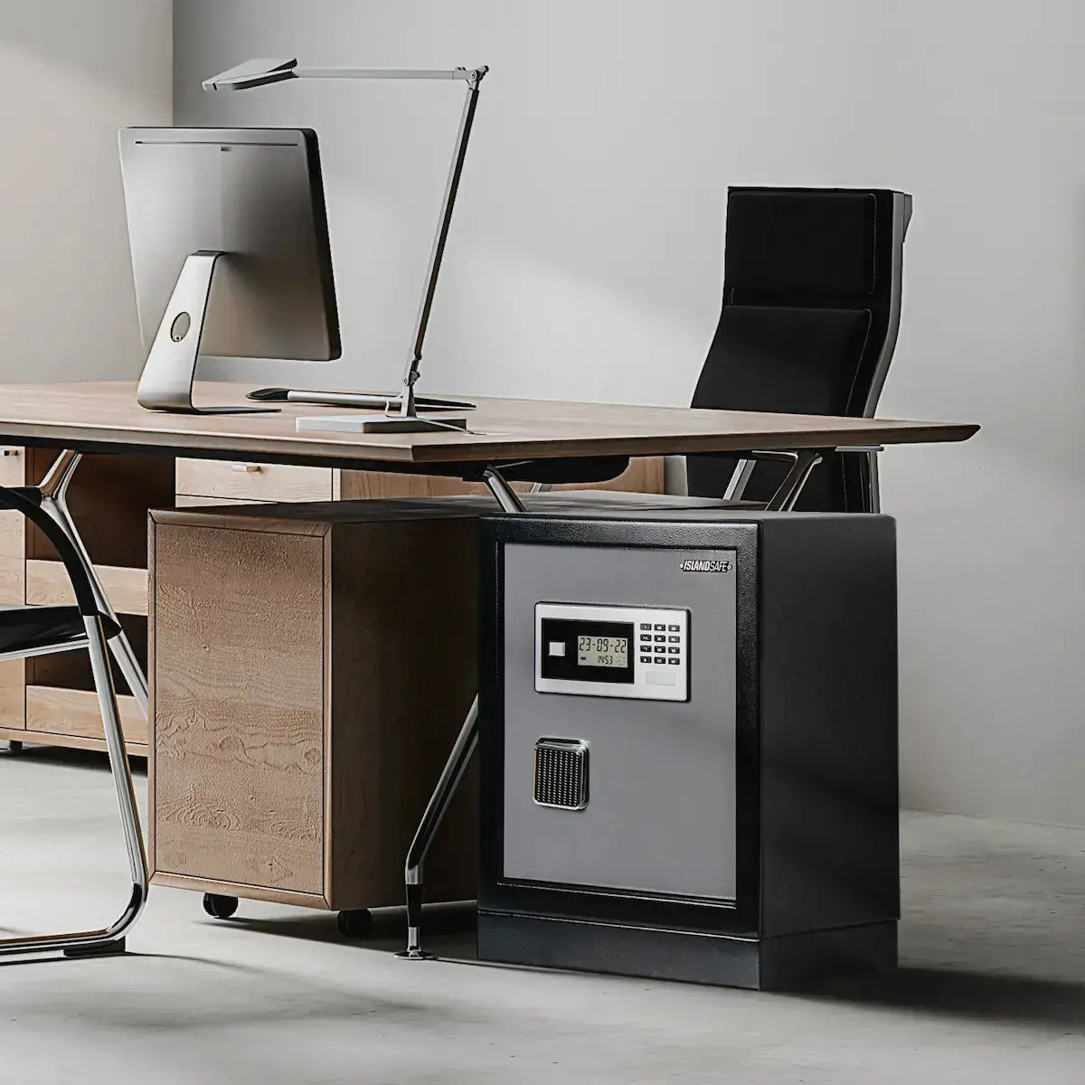 Datasavior Spacious Home Office Safe