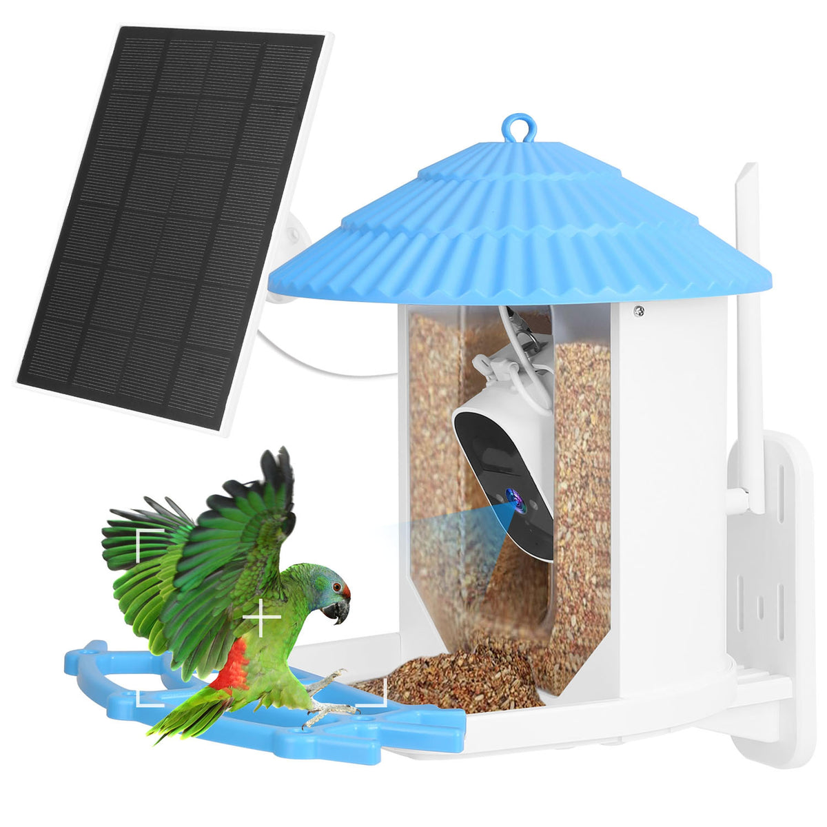Solar Powered Smart Bird Feeder 2K Bird Watching Camera With PIR Motion AI Birds Species