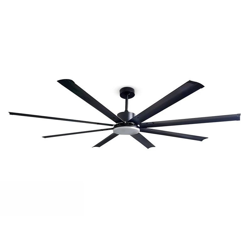 Large Size Ceiling Fan Light