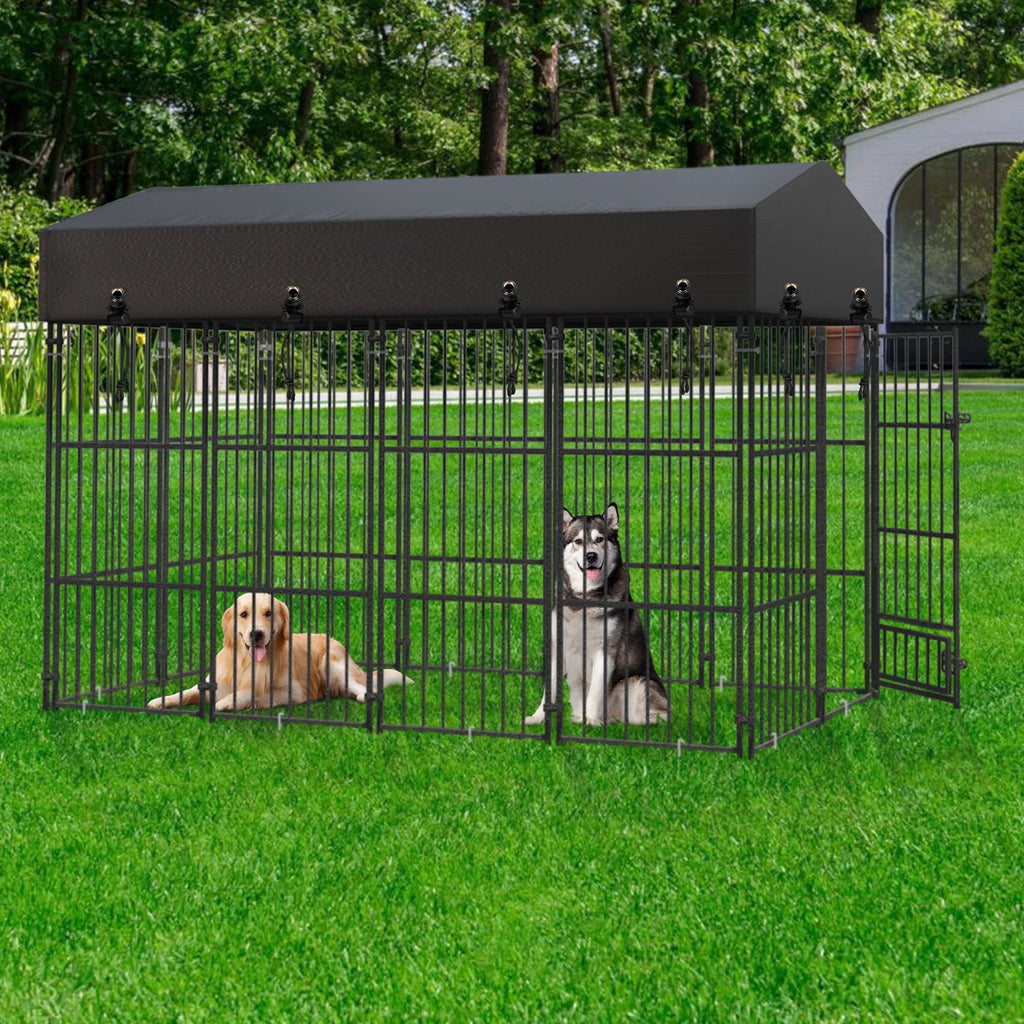 Outdoor Dog Kennel with Roof