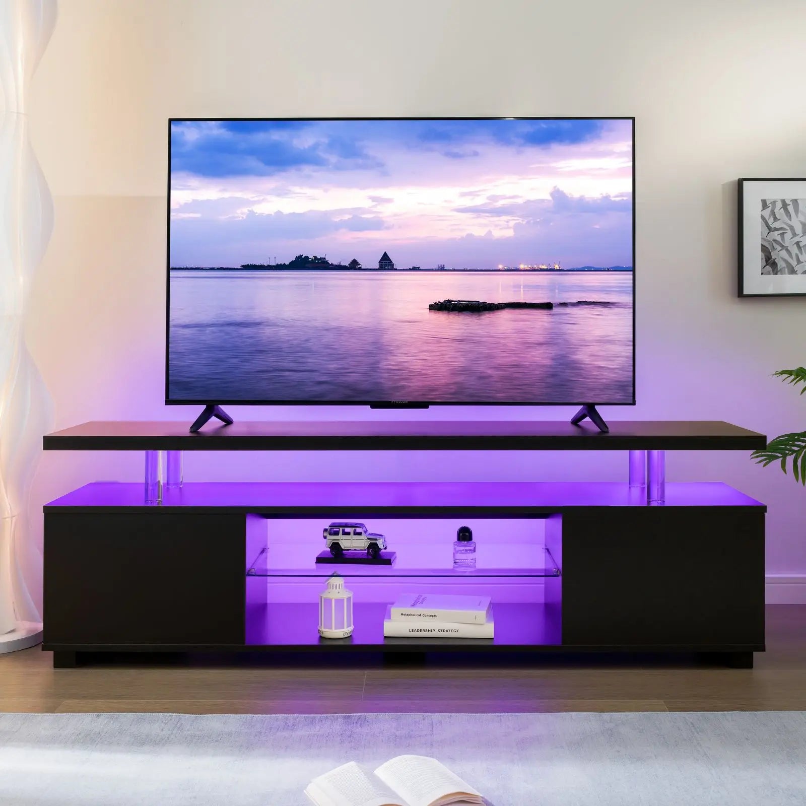 TV Entertainment Center