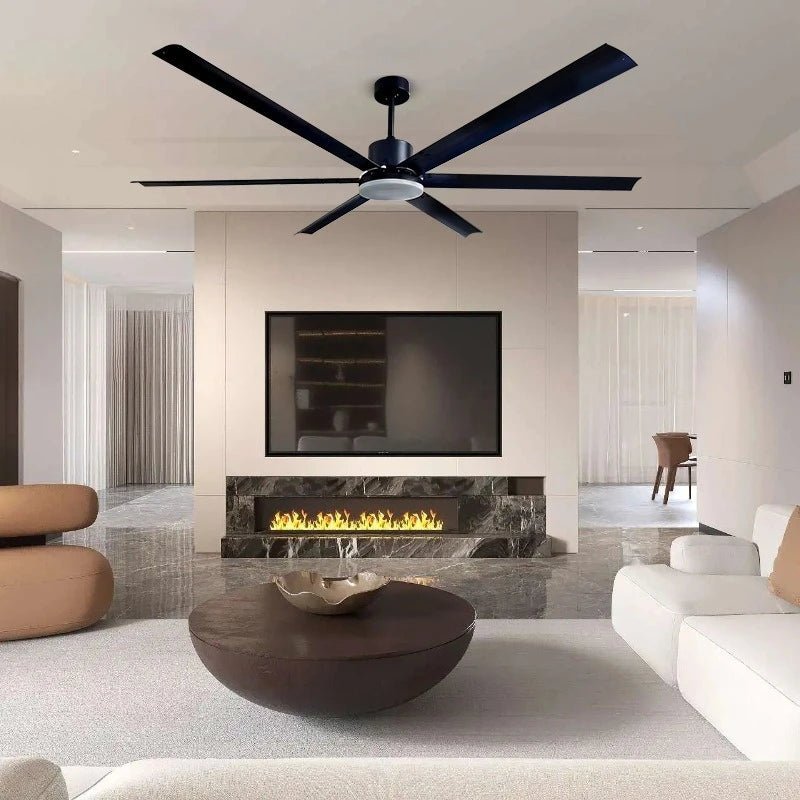 Large Size Ceiling Fan Light