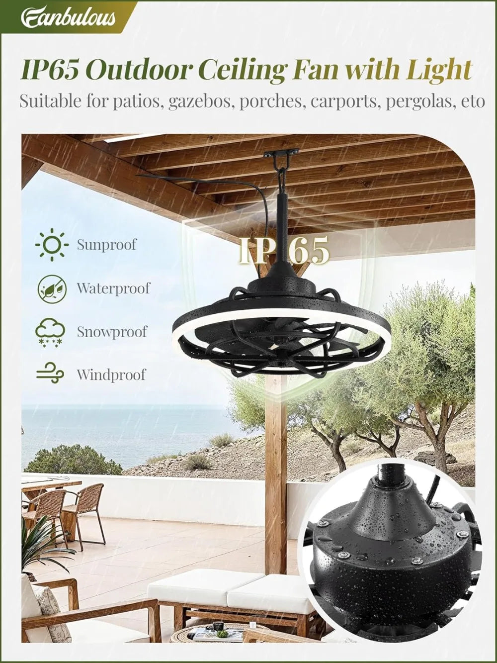 20" Outdoor Ceiling Fan with Light