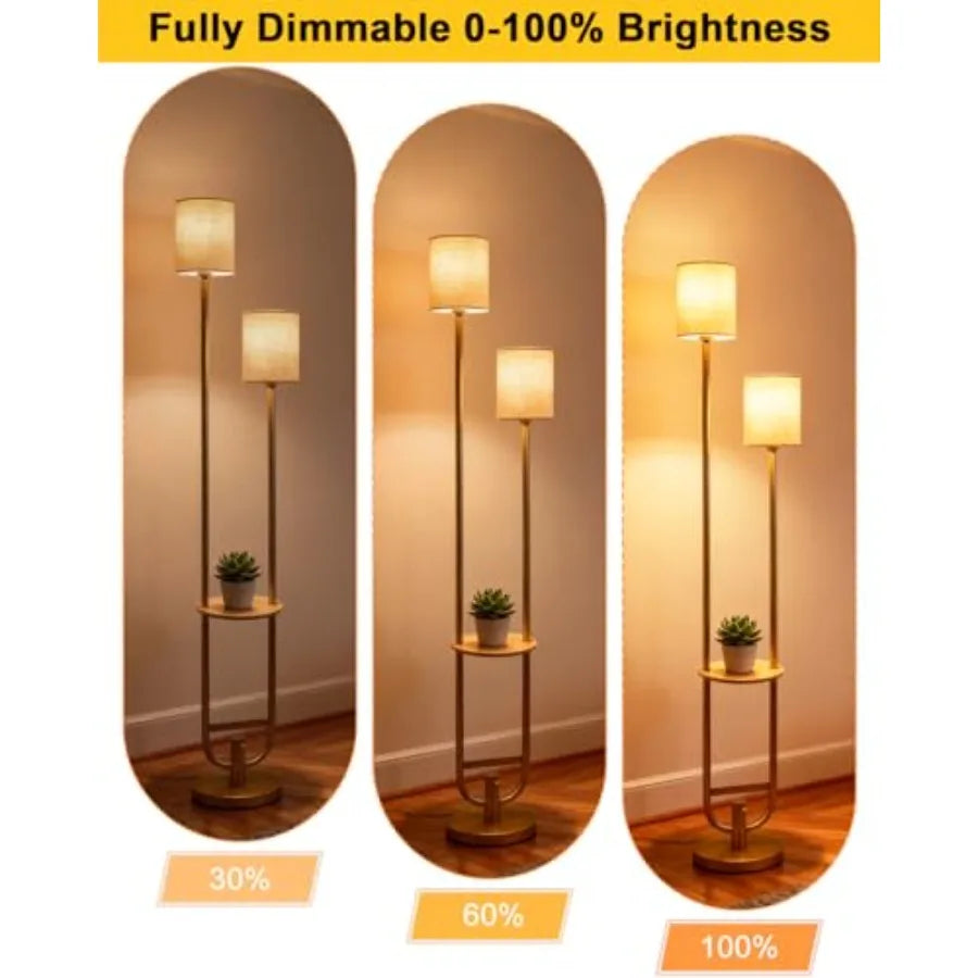 63Inch Floor Lamp Dimmable Gold Floor Lamp with 5Lbs Heavy Base for Living Room 2-Light Mid Century Modern Tall Standing Lamp w