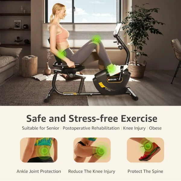 Recumbent Exercise Bike for Adults Seniors - Indoor Magnetic Cycling