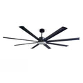 Large Size Ceiling Fan Light