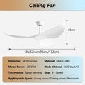 Modern Ceiling Fan Without Light Remote control