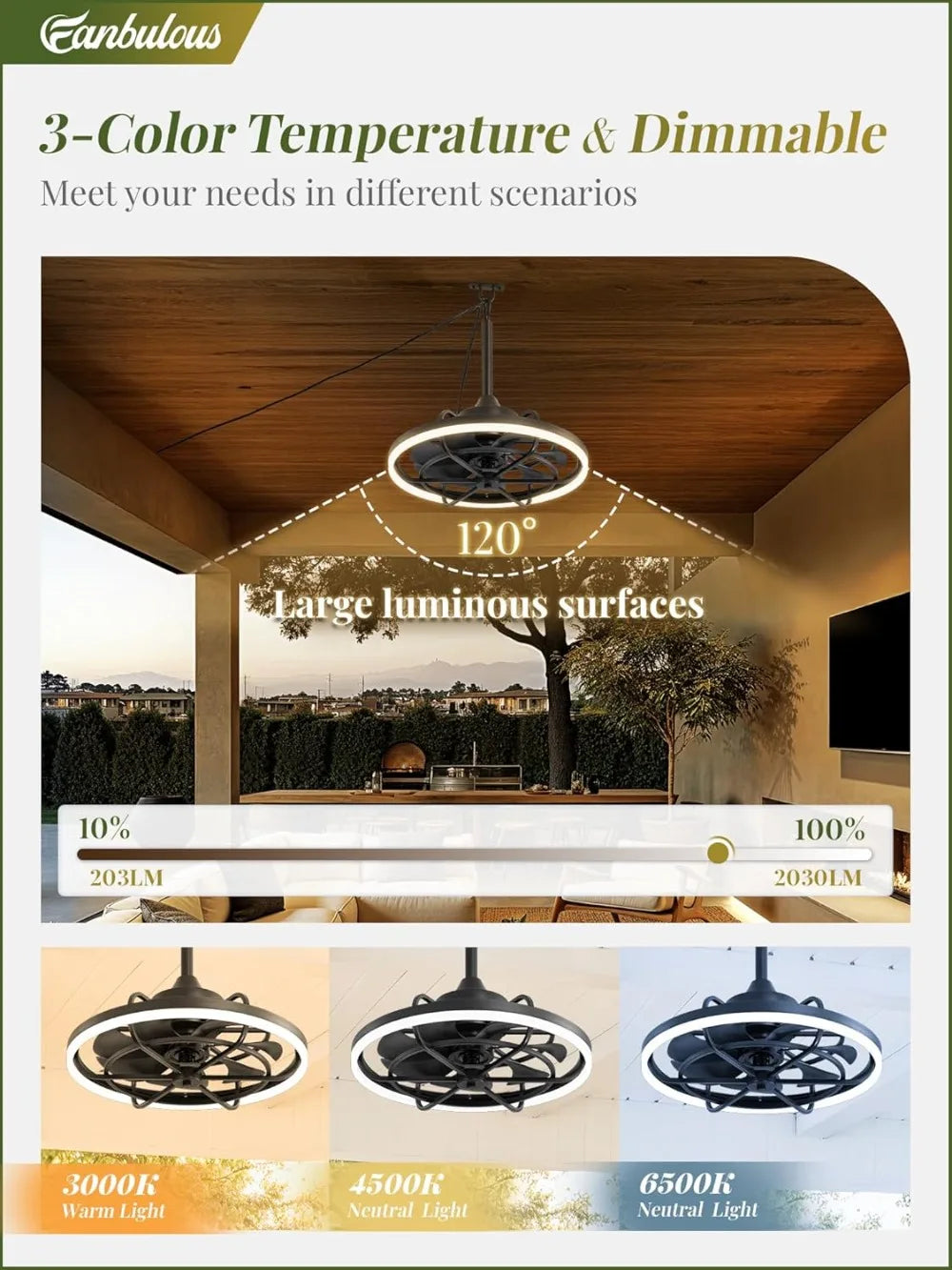 20" Outdoor Ceiling Fan with Light