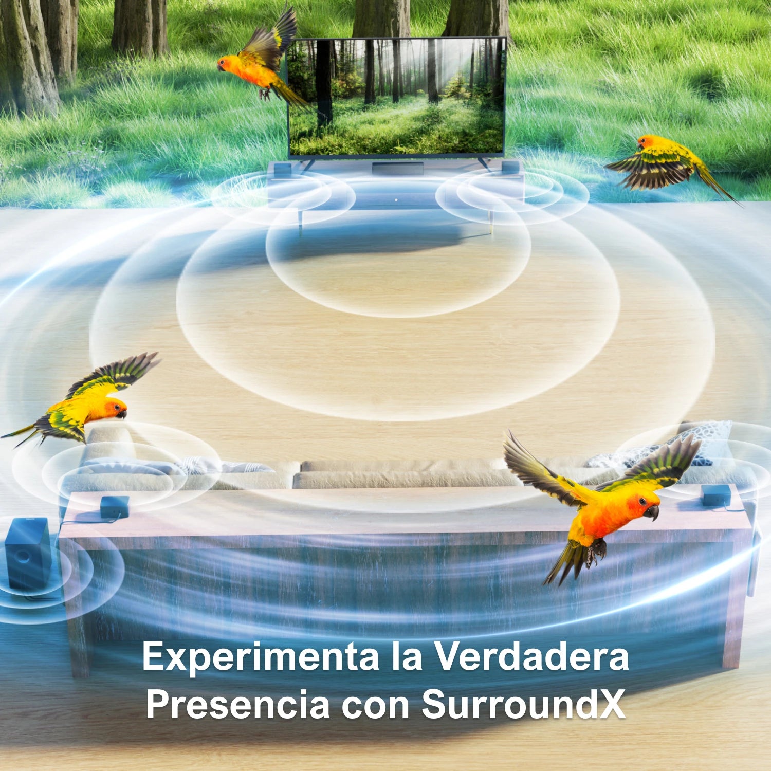 7.1 Surround Sound System