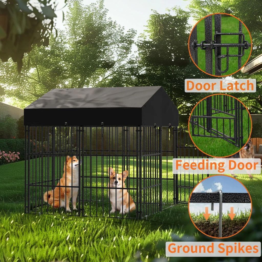 Outdoor Dog Kennel with Roof