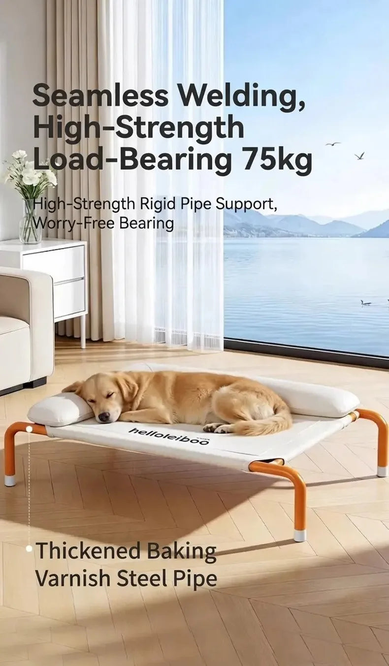 Elevated Breathable Dog Bed with Pillow for Patio Sunbathing