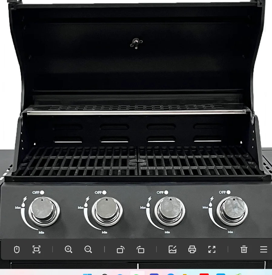 Stainless Steel Gas Barbecue Grill