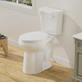 21 Inch High Toilet Elongated With Comfort Chair Seat, 1.28 Gpf Powerful Single Flush Extra Tall Toilet, 12 Inch Rough