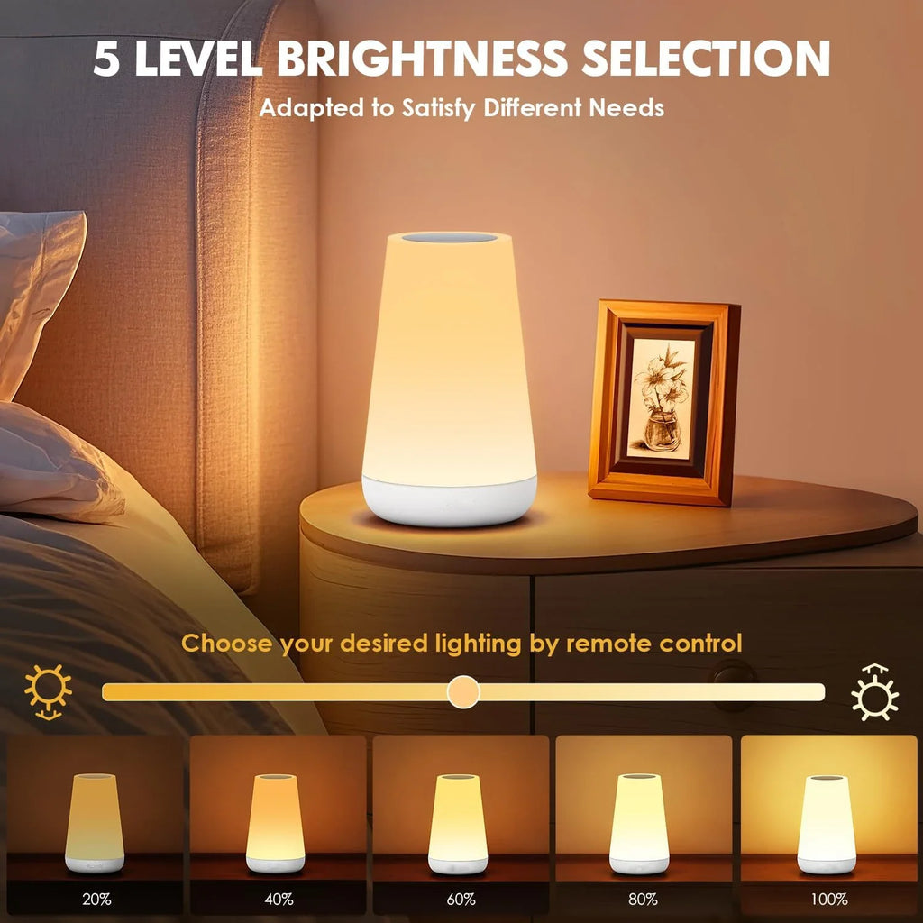 LED 13 Color Changing Night Light