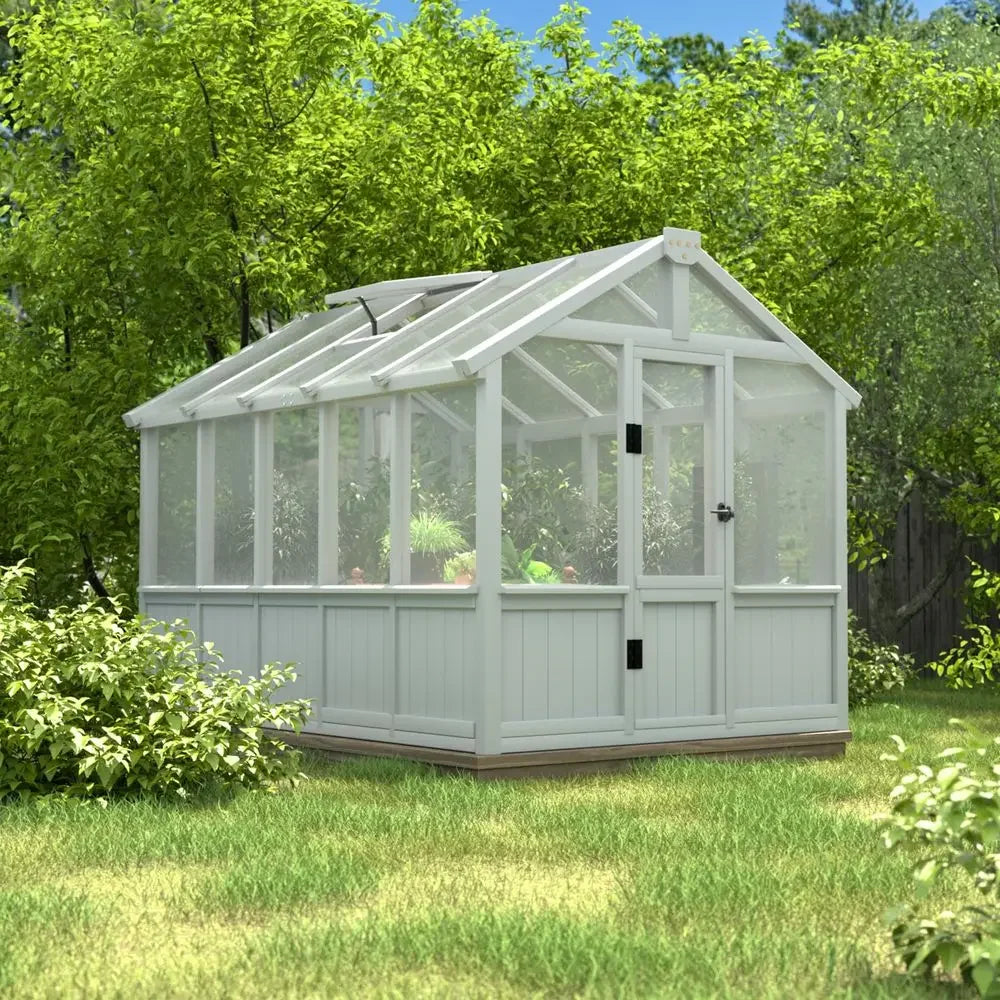 6x10 FT Greenhouse for Outdoors