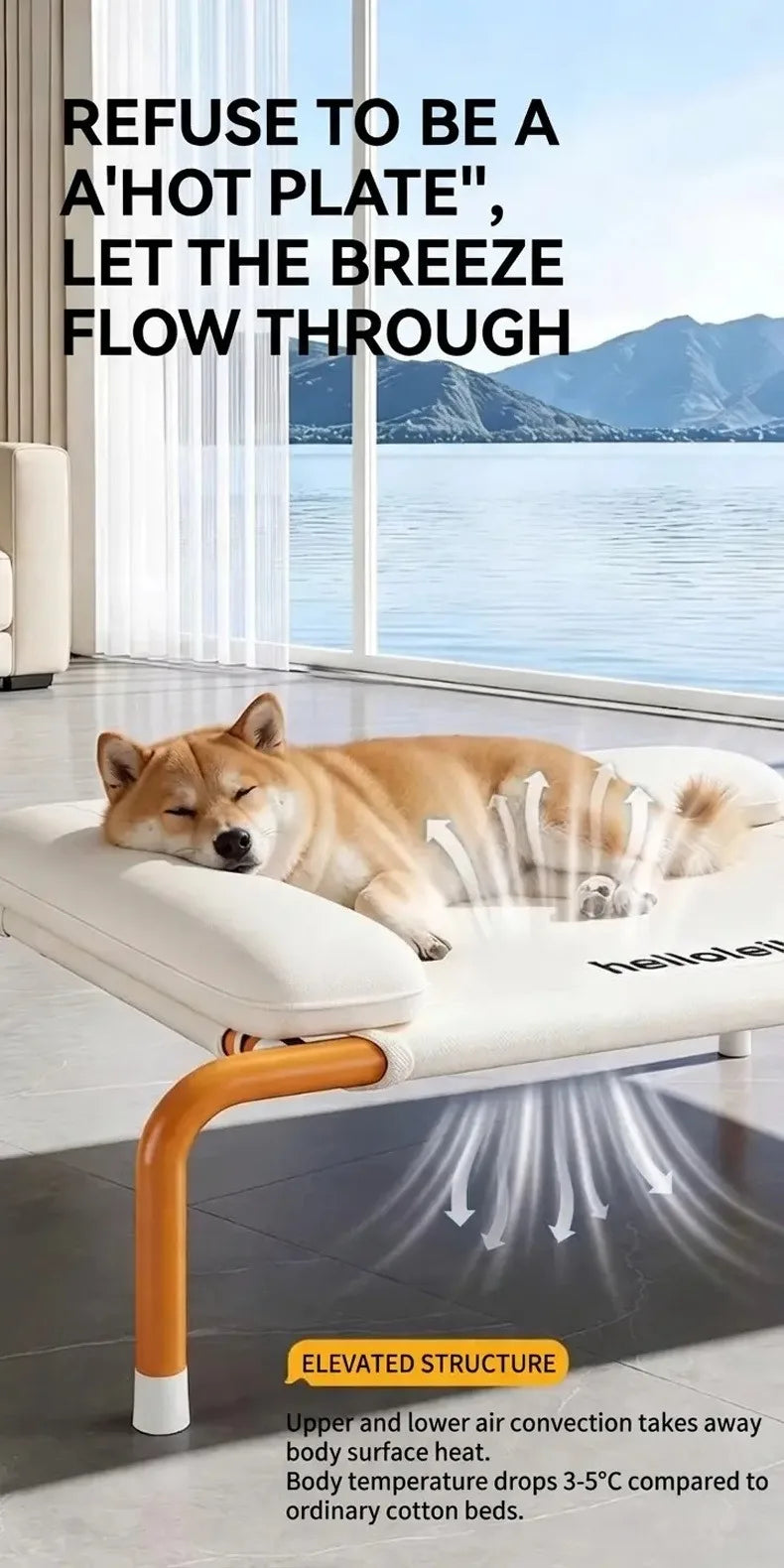 Elevated Breathable Dog Bed with Pillow for Patio Sunbathing
