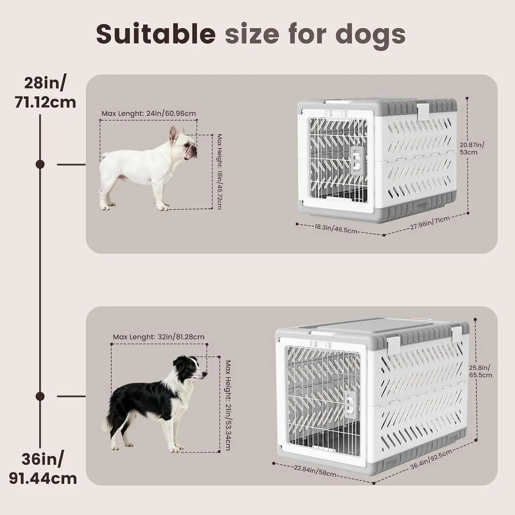 Collapsible Dog Crate for Small Dogs