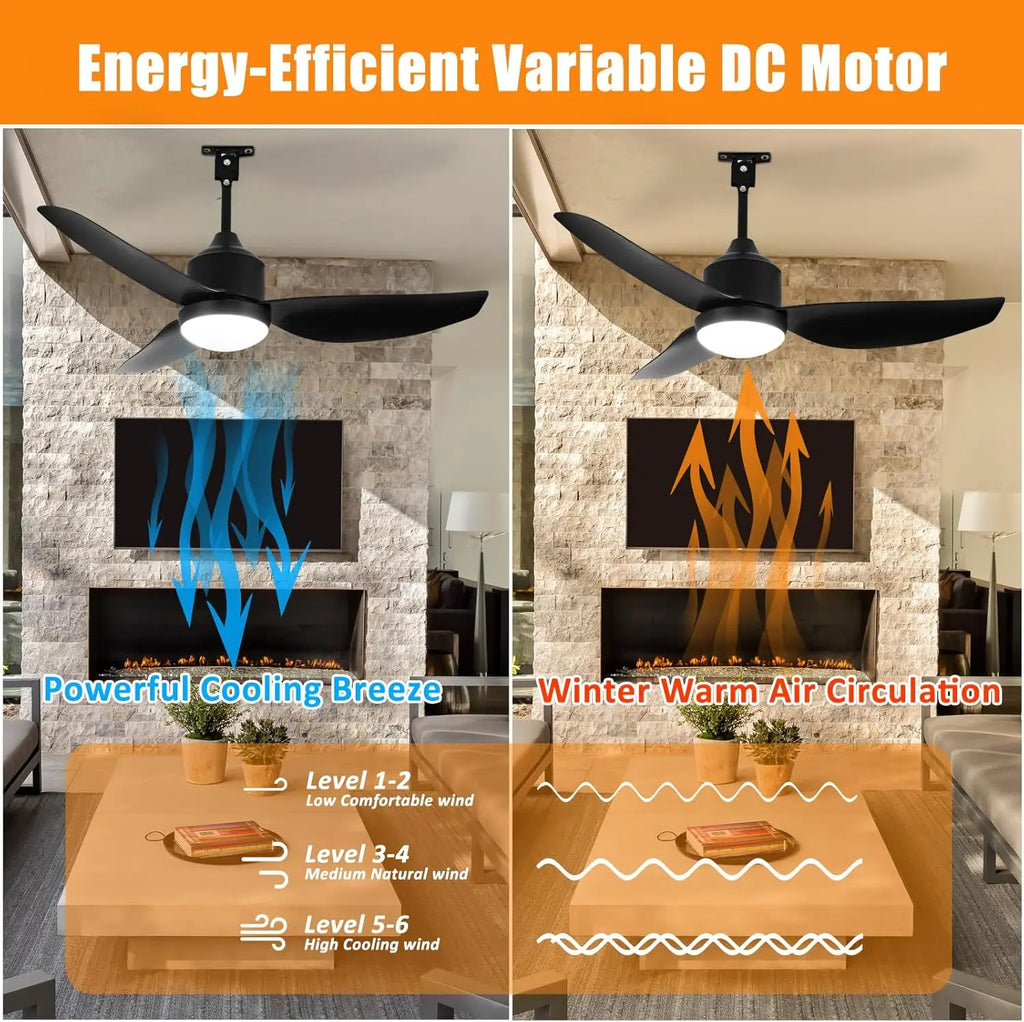 Outdoor Ceiling Fan with Light