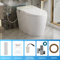 Japanese Smart Toilet with Bidet