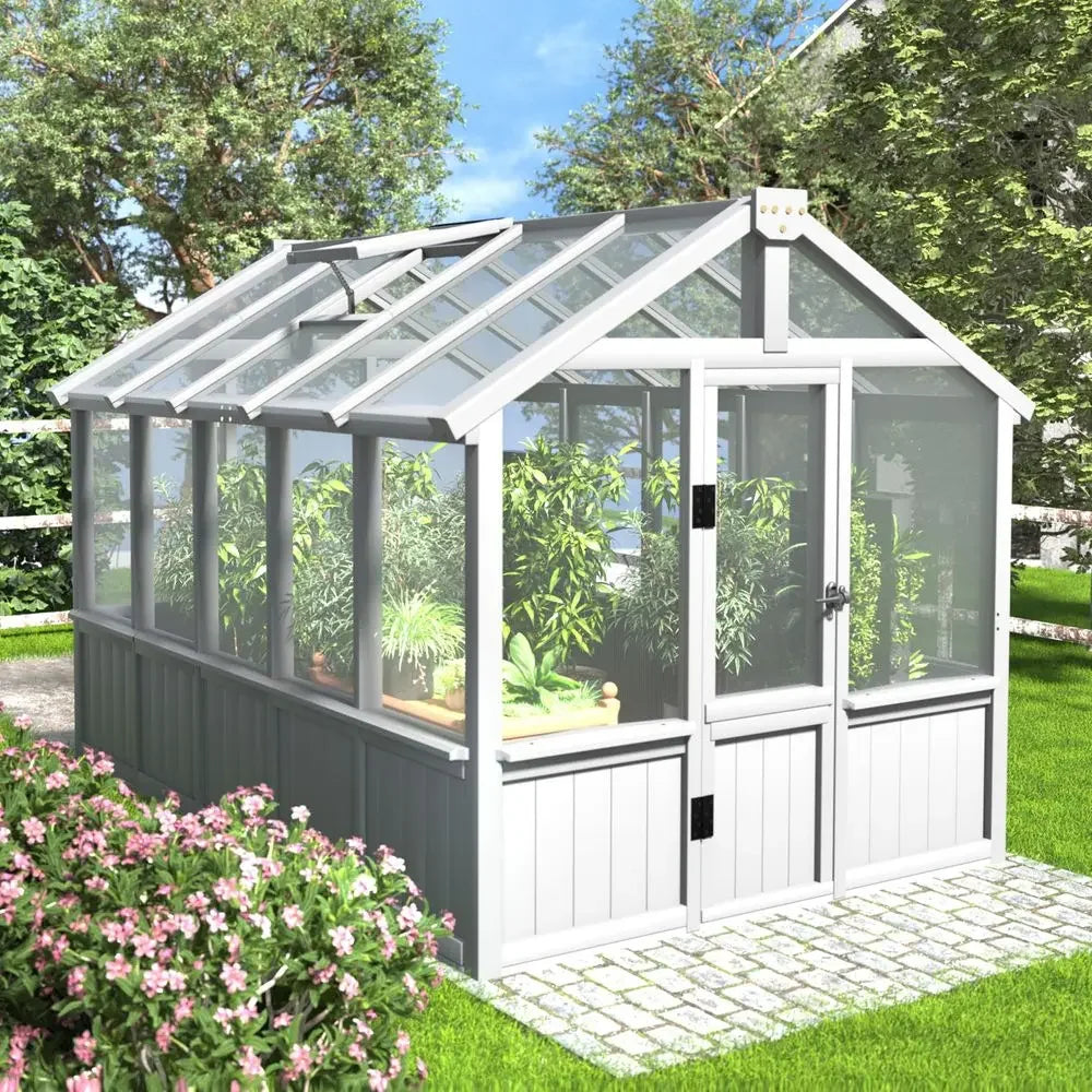 6x10 FT Greenhouse for Outdoors