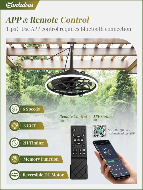20" Outdoor Ceiling Fan with Light