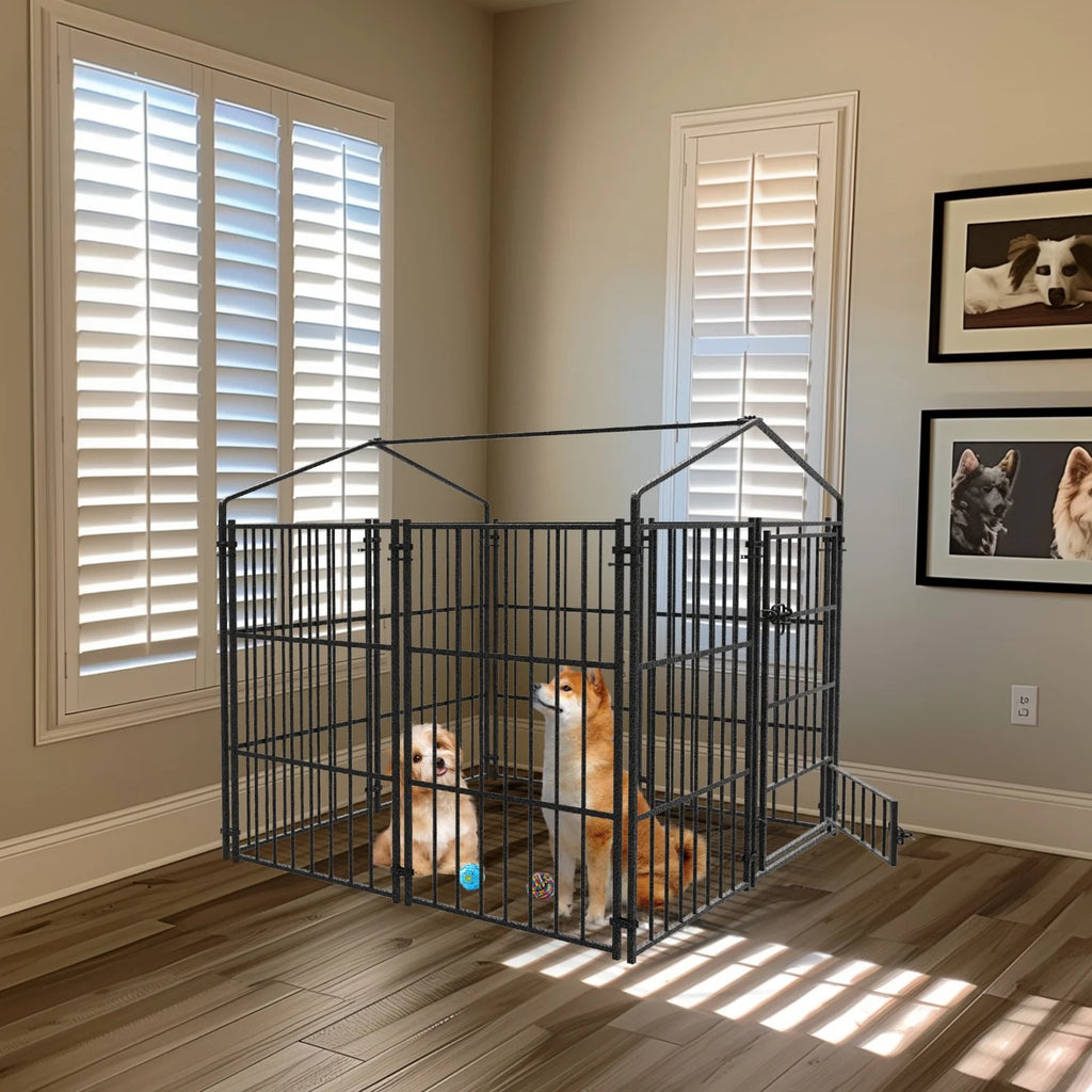 Outdoor Dog Kennel with Roof