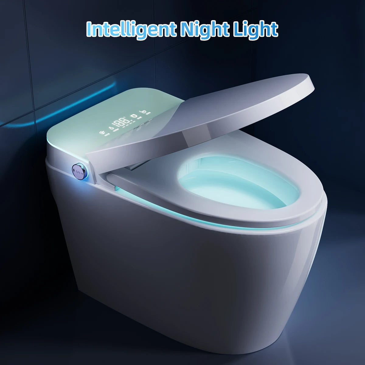 Japanese Smart Toilet with Bidet